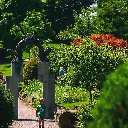 度假村 喀尔巴阡度假酒店 特鲁斯卡韦茨